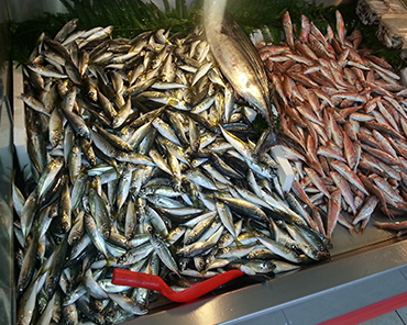 Ağva Liman Restaurant