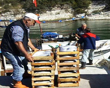 Ağva Liman Restaurant